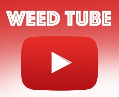 BlackSprut Market WeedTube